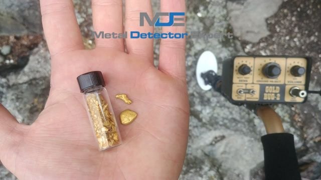 Can A Metal Detector Detect Gold